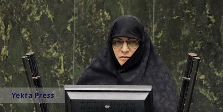 پیگیری‌ها برای اعطای تابعیت به فرزندان دارای مادر ایرانی در کمیته حقوق بشر مجلس