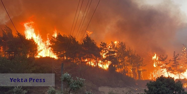 سوختن 4500 هکتار از جنگل‌های ترکیه در آتش سوزی مشکوک