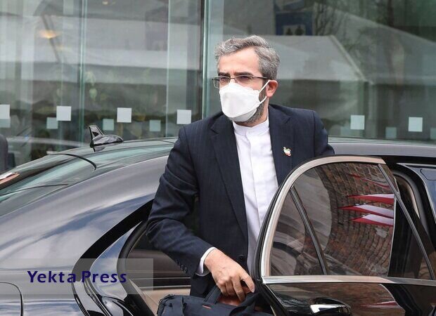 دیپلمات های ایرانی به وین رسیدند