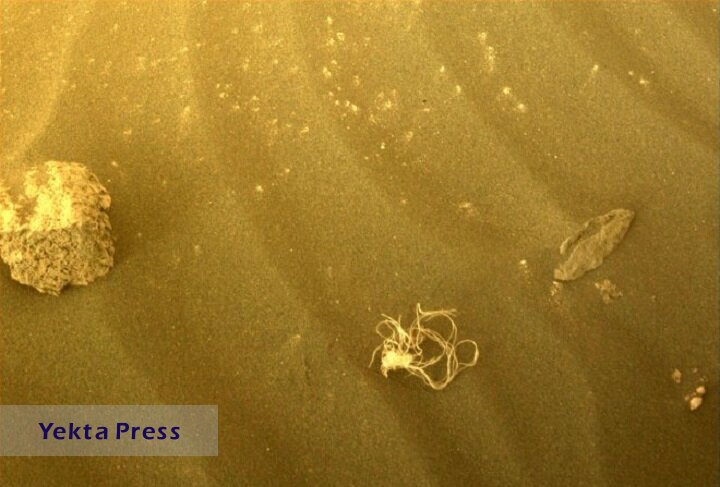 ناسا راز اسپاگتی پیدا شده در مریخ را فاش کرد
