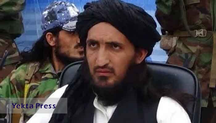 سرکردگان طالبان پاکستان کشته شدند