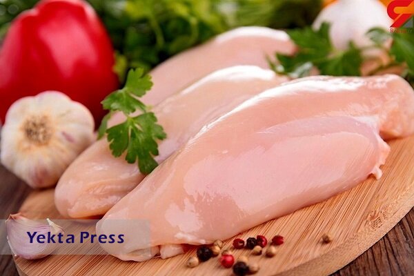 کاهش قیمت گوشت مرغ در خرده فروشی ها