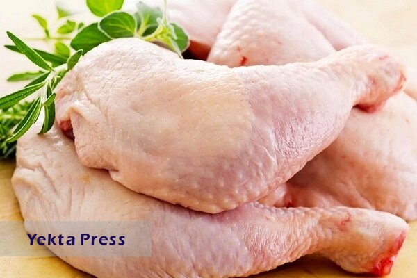 افت سرانه مصرف، تولید مرغ را ۳۵ درصد کاهش داد