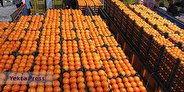 مرکبات ایران برای اولین بار به چین صادر میشود