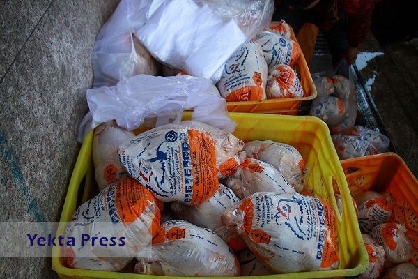 توزیع روزانه ۱۷۰۰ تن مرغ گرم و منجمد در تهران
