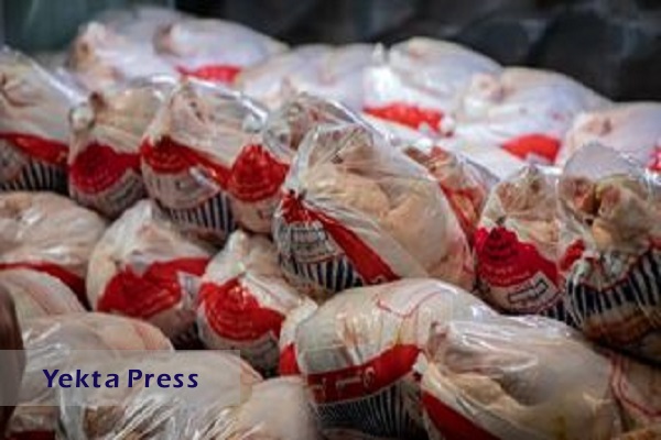 توزیع مرغ منجمد با قیمت ۴۵ هزار تومان+ جزئیات