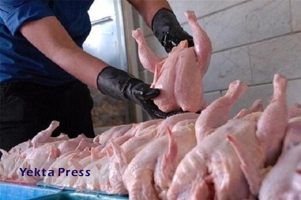 گوشت مرغ روسیه در راه ایران