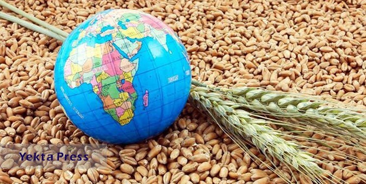 راهکار تأمین غذای جمعیت 10 میلیاردی دنیا در آینده