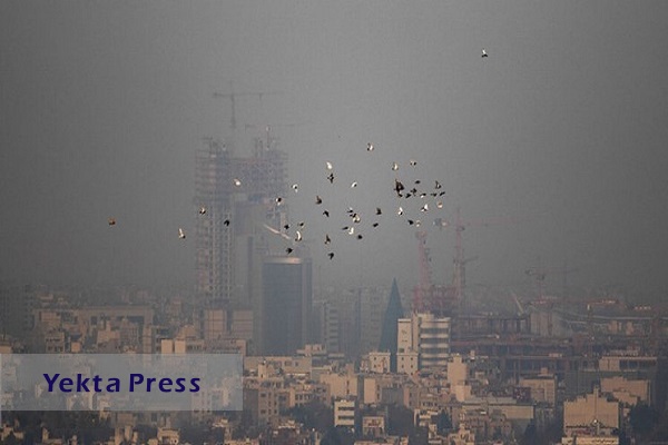 جزئیات آلودگی هوا تا ۲۵ آذر در ۶ کلان‌شهر