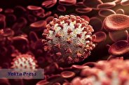 خبر نگران کننده / یک ویروس جدید جای کرونا را گرفت