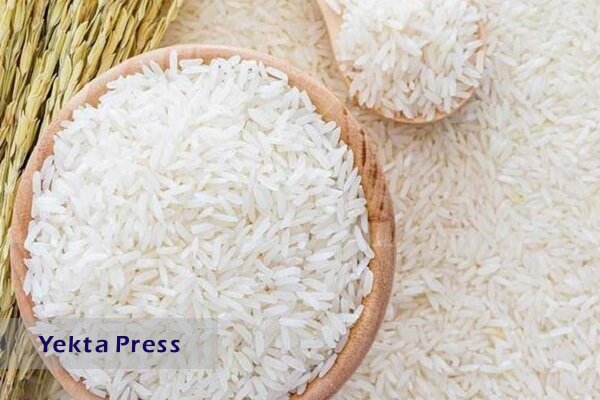 نیاز به واردات برنج خارجی کاهش یافت