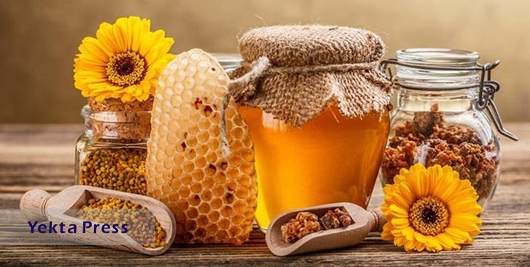جایگاه سوم تولید عسل ایران در دنیا