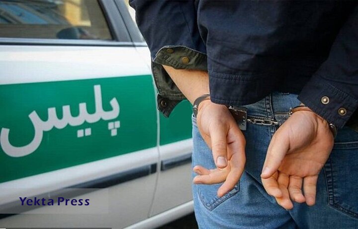 دستگیری عامل اسیدپاشی خیابان دامپزشکی تهران