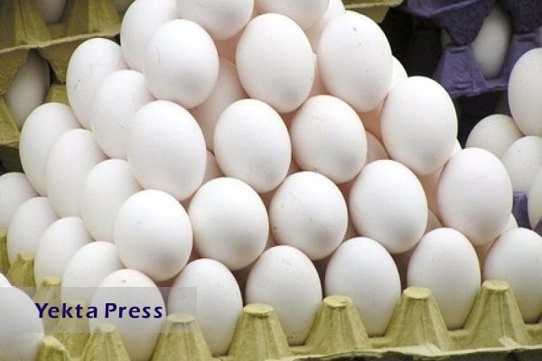 ارزآوری ۱۱۰ میلیون دلاری از صادرات تخم‌مرغ