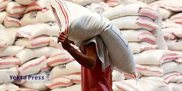 سیستمی شدن ثبت واردات، بازار برنج را شفاف می‌کند
