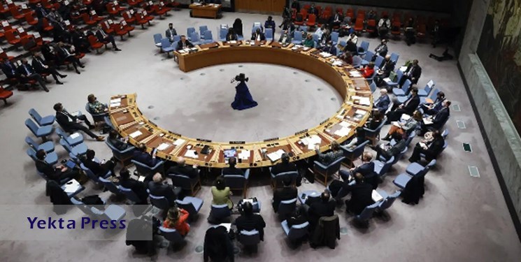 درخواست شورای امنیت از یمن برای توقف حملات در دریای سرخ