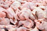 کاهش شدید قیمت مرغ به زیر ۱۰۰ هزار تومان