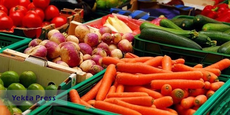رشد ۲۲درصدی ارزش صادرات محصولات کشاورزی و غذایی