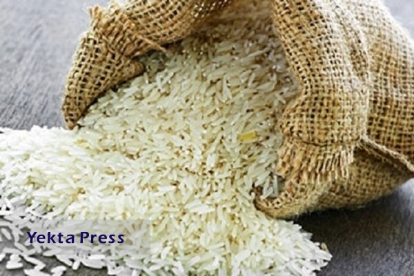 ضرورت واردات ۶۵۰ هزار تن برنج تا پایان سال