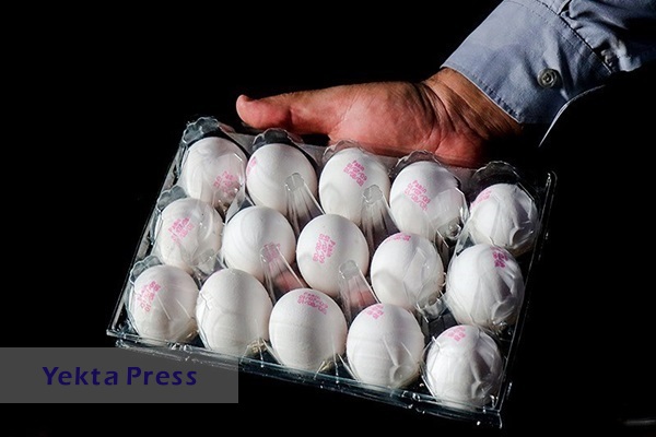 اعلام قیمت تخم‌مرغ بسته‌بندی‌شده