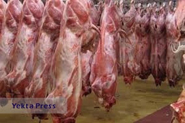 میزان واردات گوشت گرم و منجمد چقدر است؟
