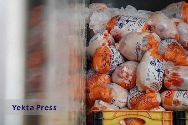 یوسف خانی:توزیع مرغ منجمد قیمت را کاهش داد