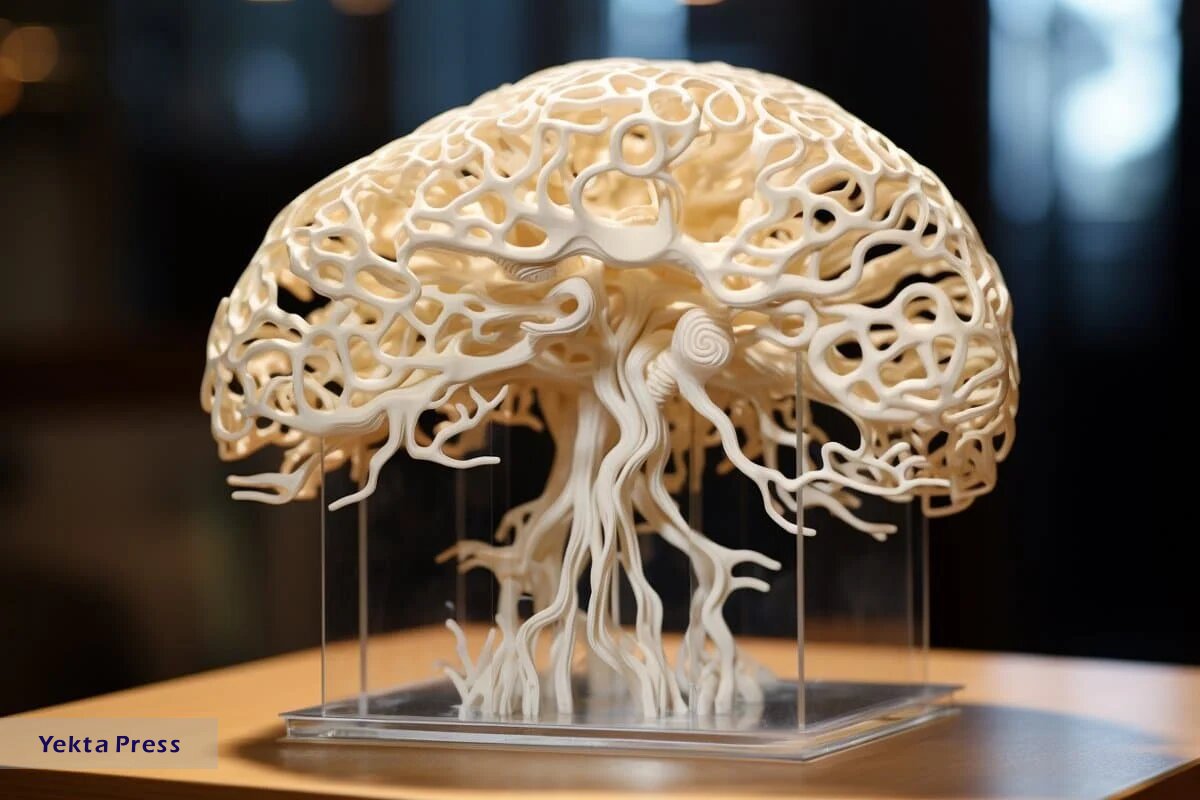 چاپ ۳ بعدی بافت زنده مغز انسان