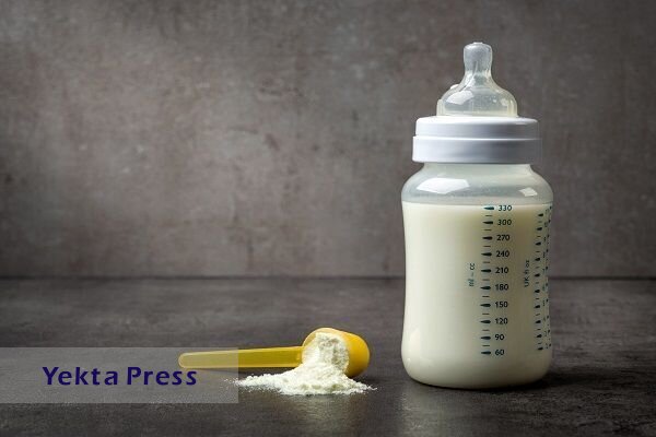 آخرین وضعیت بازار شیرخشک نوزاد/ قیمت‌ها تغییر کرده است؟