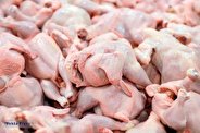 کاهش 30 هزار تومانی قیمت مرغ در بازار
