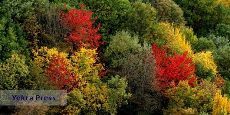 تأیید ثبت روز ملی جنگل و کوهستان در تقویم رسمی کشور