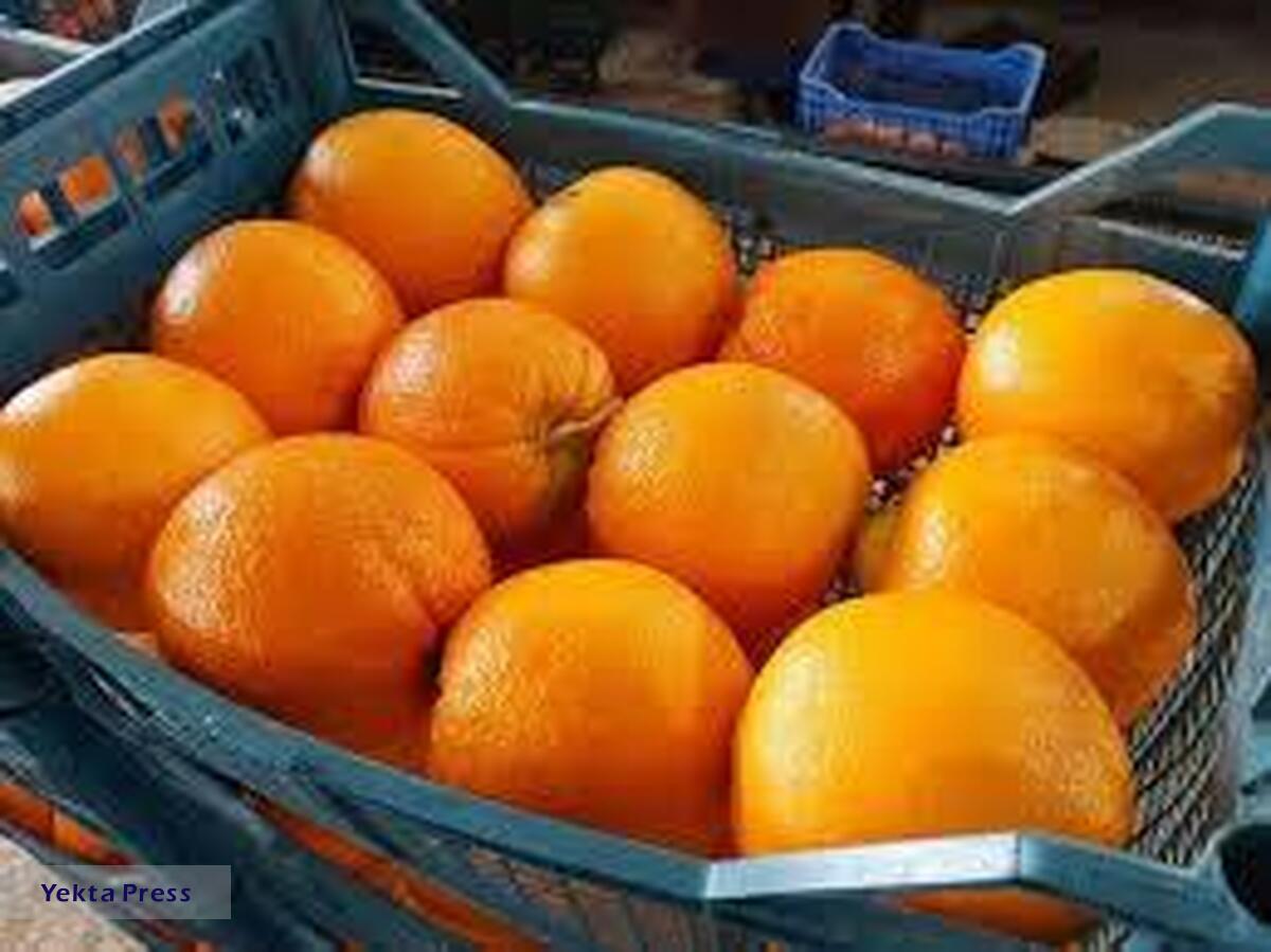 سود 10نی دلالان از فروش هر کیلو پرتقال شمال