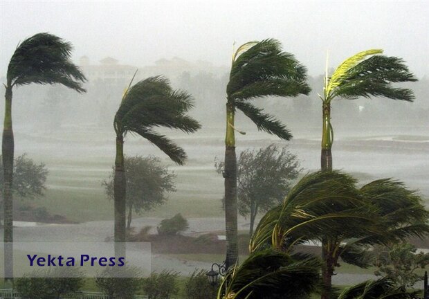 سازمان هواشناسی اعلام کرد؛هشدار وزش باد شدید در جنوب کشور