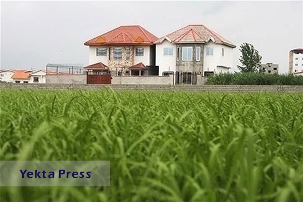 تکذیب آزادسازی ساخت مسکن در اراضی کشاورزی