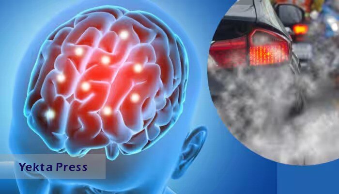آلودگی هوای ناشی از ترافیک به طور مستقیم با بیماری آلزایمر ارتباط دارد