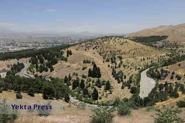 ۲۰۰۰ هکتار جنگل‌کاری در طرح کمربند سبز تهران به بهره‌برداری رسید