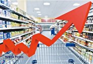شاخص قیمت مصرف کننده، بهمن١٤٠٢ افزایش یافت