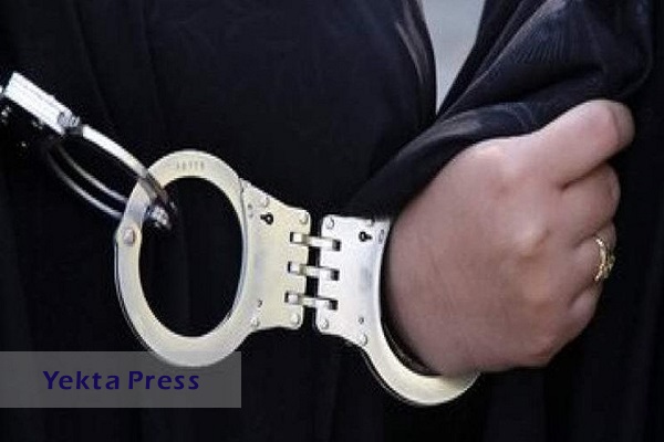دو نفر از مرتبطان جاسوسان فرانسوی بازداشت شدند