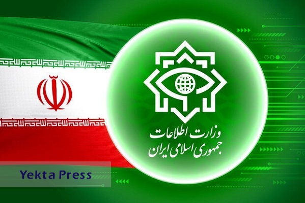 ضربه وزارت اطلاعات به شبکه اخلال‌گران ارزی