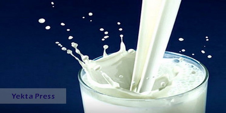 نرخ شیر خام 15 هزار تو مان تصویب شد+جزئیات