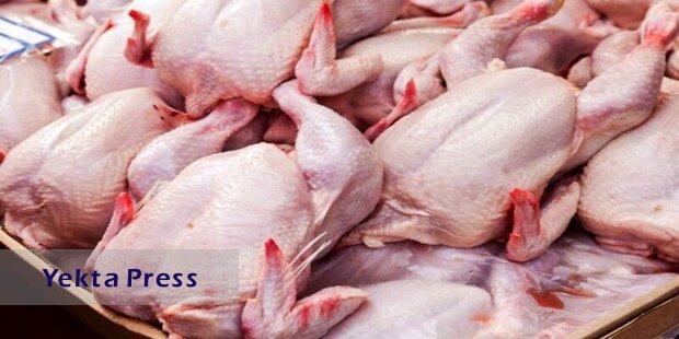 قیمت گذاری دستوری نهاده‌های دامی علت نوسان در بازار گوشت