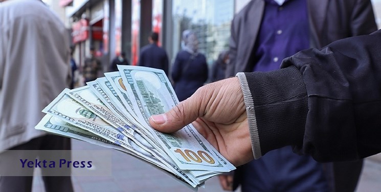 سخنگوی دولت: رهاشدگی بازار ارز به تورم دامن می زند