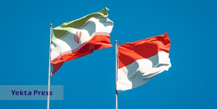 زارع‌پور: مقدمات تشکیل کمیسیون مشترک ایران- اندونزی در حال انجام است
