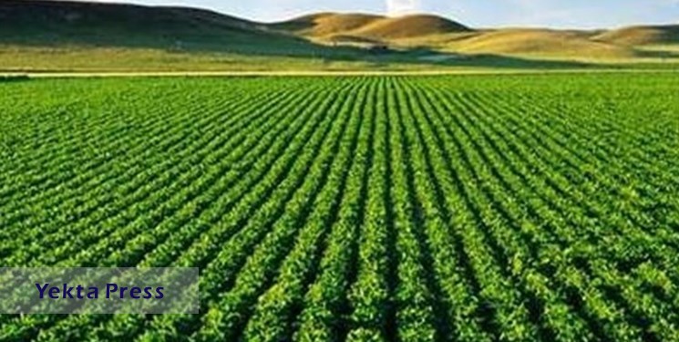 جایگاه اول تا دهم ایران در جهان در تولید 22 محصول کشاورزی
