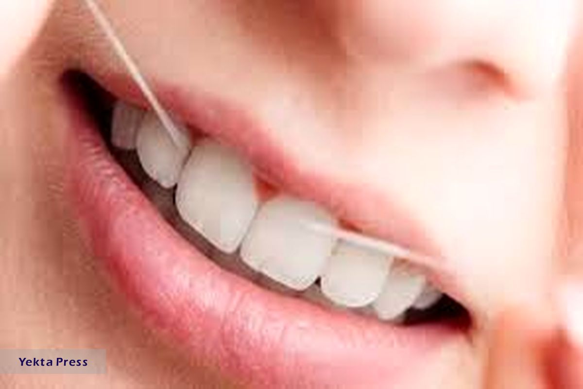 ساخشد مجدد دندان‌ها توسط دانشمندان ژاپنی