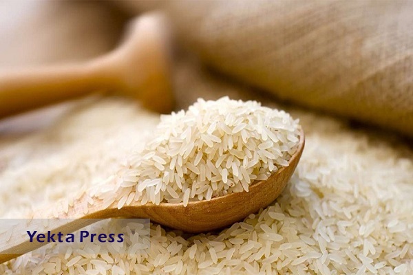 واردات برنج همچنان ممنوع است
