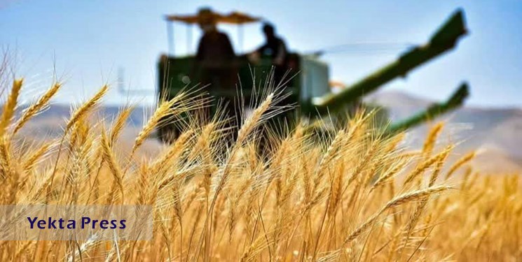 رئیس کمیسیون کشاورزی مجلس: مطالبات گندم‌کاران در اسرع وقت پرداخت می‌شود