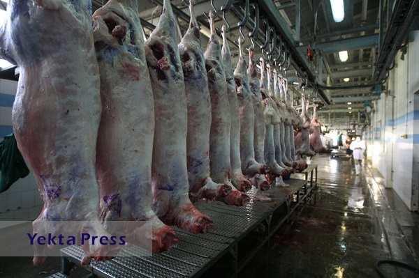 عرضه روزانه ۱۰۰ تا ۱۵۰ تن گوشت قرمز وارداتی