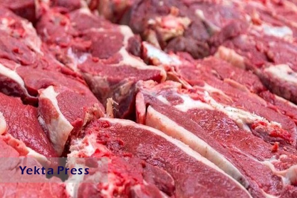 ابلاغ حقوق یک درصدی واردات گوشت قرمز