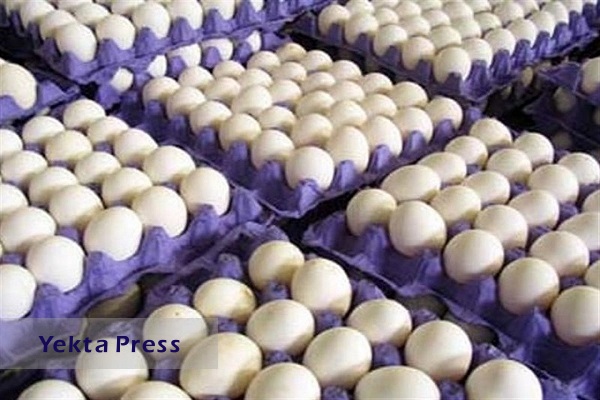 صادرات تخم مرغ به ۶۰ هزارتن رسید