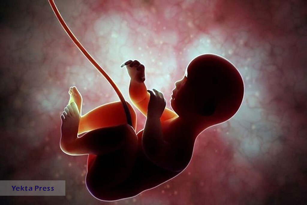 سن قانونی سقط جنین اعلام شد